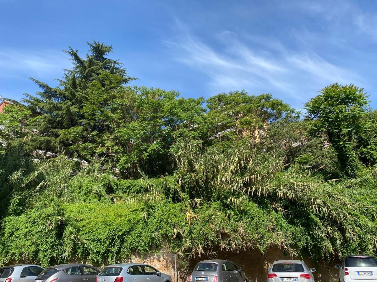 罗马特拉斯提弗列火车站游客艺术旅馆住宿加早餐旅馆 外观 照片